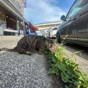 ヒメ日記 2025/06/28 07:12 投稿 あさひ SOAPLAND LOVE FACTORY