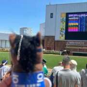 ヒメ日記 2025/06/28 17:02 投稿 あさひ SOAPLAND LOVE FACTORY