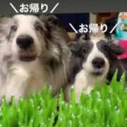 ヒメ日記 2025/07/02 23:18 投稿 あさひ SOAPLAND LOVE FACTORY