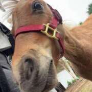 ヒメ日記 2025/07/04 20:33 投稿 あさひ SOAPLAND LOVE FACTORY