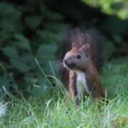 ヒメ日記 2025/07/05 01:22 投稿 あさひ SOAPLAND LOVE FACTORY