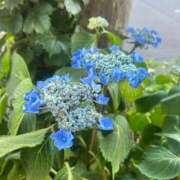 ヒメ日記 2025/07/10 18:34 投稿 あさひ SOAPLAND LOVE FACTORY