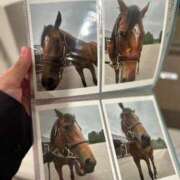 ヒメ日記 2025/07/11 16:55 投稿 あさひ SOAPLAND LOVE FACTORY