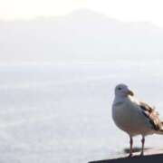 ヒメ日記 2025/07/13 21:23 投稿 あさひ SOAPLAND LOVE FACTORY