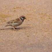 ヒメ日記 2025/07/14 08:33 投稿 あさひ SOAPLAND LOVE FACTORY