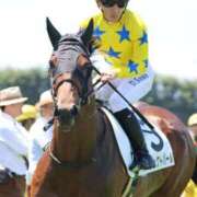 ヒメ日記 2025/07/14 13:03 投稿 あさひ SOAPLAND LOVE FACTORY