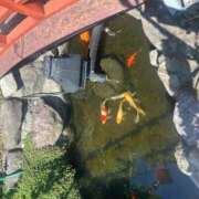 ヒメ日記 2025/07/14 20:41 投稿 あさひ SOAPLAND LOVE FACTORY