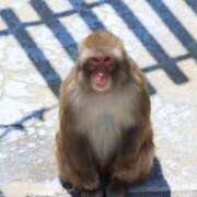 ヒメ日記 2025/07/15 08:01 投稿 あさひ SOAPLAND LOVE FACTORY