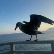 ヒメ日記 2025/07/16 00:42 投稿 あさひ SOAPLAND LOVE FACTORY