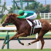 ヒメ日記 2025/07/16 20:26 投稿 あさひ SOAPLAND LOVE FACTORY