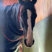 ヒメ日記 2025/07/17 07:22 投稿 あさひ SOAPLAND LOVE FACTORY