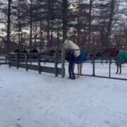 ヒメ日記 2025/07/19 00:54 投稿 あさひ SOAPLAND LOVE FACTORY