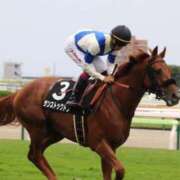 ヒメ日記 2025/07/26 07:52 投稿 あさひ SOAPLAND LOVE FACTORY