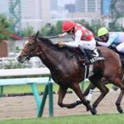 ヒメ日記 2025/07/26 15:52 投稿 あさひ SOAPLAND LOVE FACTORY