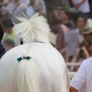 ヒメ日記 2025/07/28 06:22 投稿 あさひ SOAPLAND LOVE FACTORY