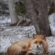 ヒメ日記 2025/07/30 06:12 投稿 あさひ SOAPLAND LOVE FACTORY