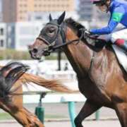 ヒメ日記 2025/08/03 20:43 投稿 あさひ SOAPLAND LOVE FACTORY