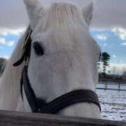 ヒメ日記 2025/08/07 23:52 投稿 あさひ SOAPLAND LOVE FACTORY