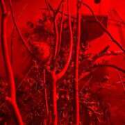 ヒメ日記 2025/08/09 00:52 投稿 あさひ SOAPLAND LOVE FACTORY