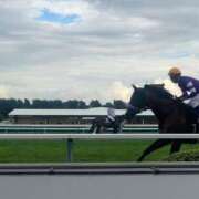 ヒメ日記 2025/08/10 17:02 投稿 あさひ SOAPLAND LOVE FACTORY