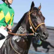 ヒメ日記 2025/08/11 23:01 投稿 あさひ SOAPLAND LOVE FACTORY