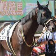 ヒメ日記 2025/08/11 23:06 投稿 あさひ SOAPLAND LOVE FACTORY