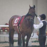 ヒメ日記 2025/08/12 01:22 投稿 あさひ SOAPLAND LOVE FACTORY