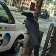 ヒメ日記 2025/08/14 03:47 投稿 あさひ SOAPLAND LOVE FACTORY