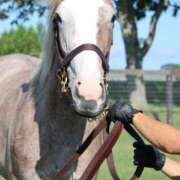 ヒメ日記 2025/08/15 00:22 投稿 あさひ SOAPLAND LOVE FACTORY