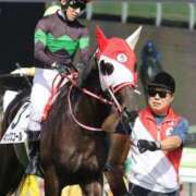 ヒメ日記 2025/08/19 08:02 投稿 あさひ SOAPLAND LOVE FACTORY