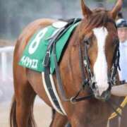 ヒメ日記 2025/08/19 16:42 投稿 あさひ SOAPLAND LOVE FACTORY