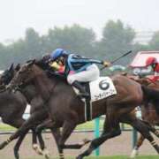 ヒメ日記 2025/08/20 08:17 投稿 あさひ SOAPLAND LOVE FACTORY