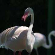 ヒメ日記 2025/08/21 19:39 投稿 あさひ SOAPLAND LOVE FACTORY