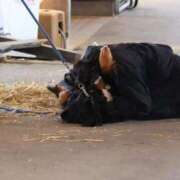 ヒメ日記 2025/08/21 22:22 投稿 あさひ SOAPLAND LOVE FACTORY