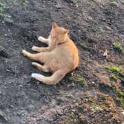 ヒメ日記 2025/08/22 09:34 投稿 あさひ SOAPLAND LOVE FACTORY