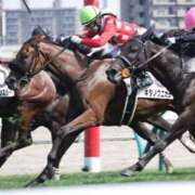 ヒメ日記 2025/08/23 15:29 投稿 あさひ SOAPLAND LOVE FACTORY