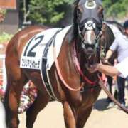 ヒメ日記 2025/08/25 05:42 投稿 あさひ SOAPLAND LOVE FACTORY