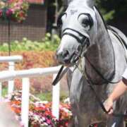 ヒメ日記 2025/08/25 19:56 投稿 あさひ SOAPLAND LOVE FACTORY