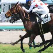 ヒメ日記 2025/08/26 12:12 投稿 あさひ SOAPLAND LOVE FACTORY