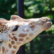 ヒメ日記 2025/08/27 02:52 投稿 あさひ SOAPLAND LOVE FACTORY