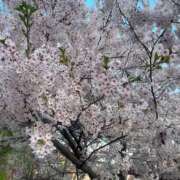 ヒメ日記 2025/08/28 09:04 投稿 あさひ SOAPLAND LOVE FACTORY