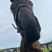 ヒメ日記 2025/08/28 17:21 投稿 あさひ SOAPLAND LOVE FACTORY