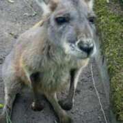 ヒメ日記 2025/08/28 22:02 投稿 あさひ SOAPLAND LOVE FACTORY