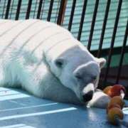 ヒメ日記 2025/08/29 17:16 投稿 あさひ SOAPLAND LOVE FACTORY