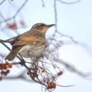 ヒメ日記 2025/08/30 14:53 投稿 あさひ SOAPLAND LOVE FACTORY