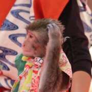 ヒメ日記 2025/08/31 06:12 投稿 あさひ SOAPLAND LOVE FACTORY