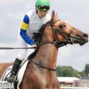 ヒメ日記 2025/08/31 20:41 投稿 あさひ SOAPLAND LOVE FACTORY