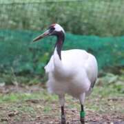 ヒメ日記 2025/09/02 00:03 投稿 あさひ SOAPLAND LOVE FACTORY