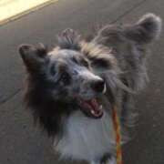 ヒメ日記 2025/09/02 07:16 投稿 あさひ SOAPLAND LOVE FACTORY