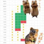 ヒメ日記 2025/09/02 10:32 投稿 あさひ SOAPLAND LOVE FACTORY